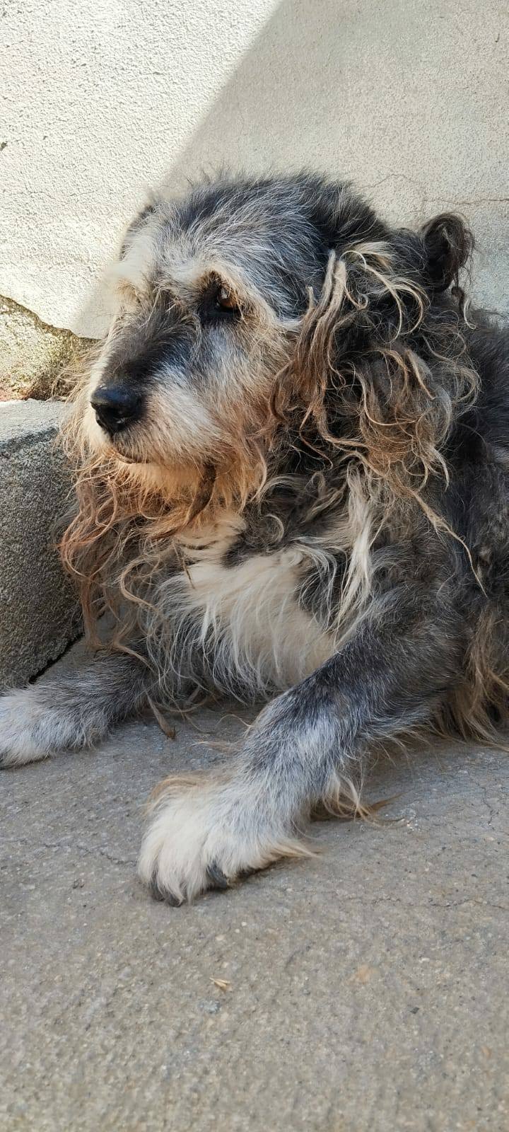 Berta