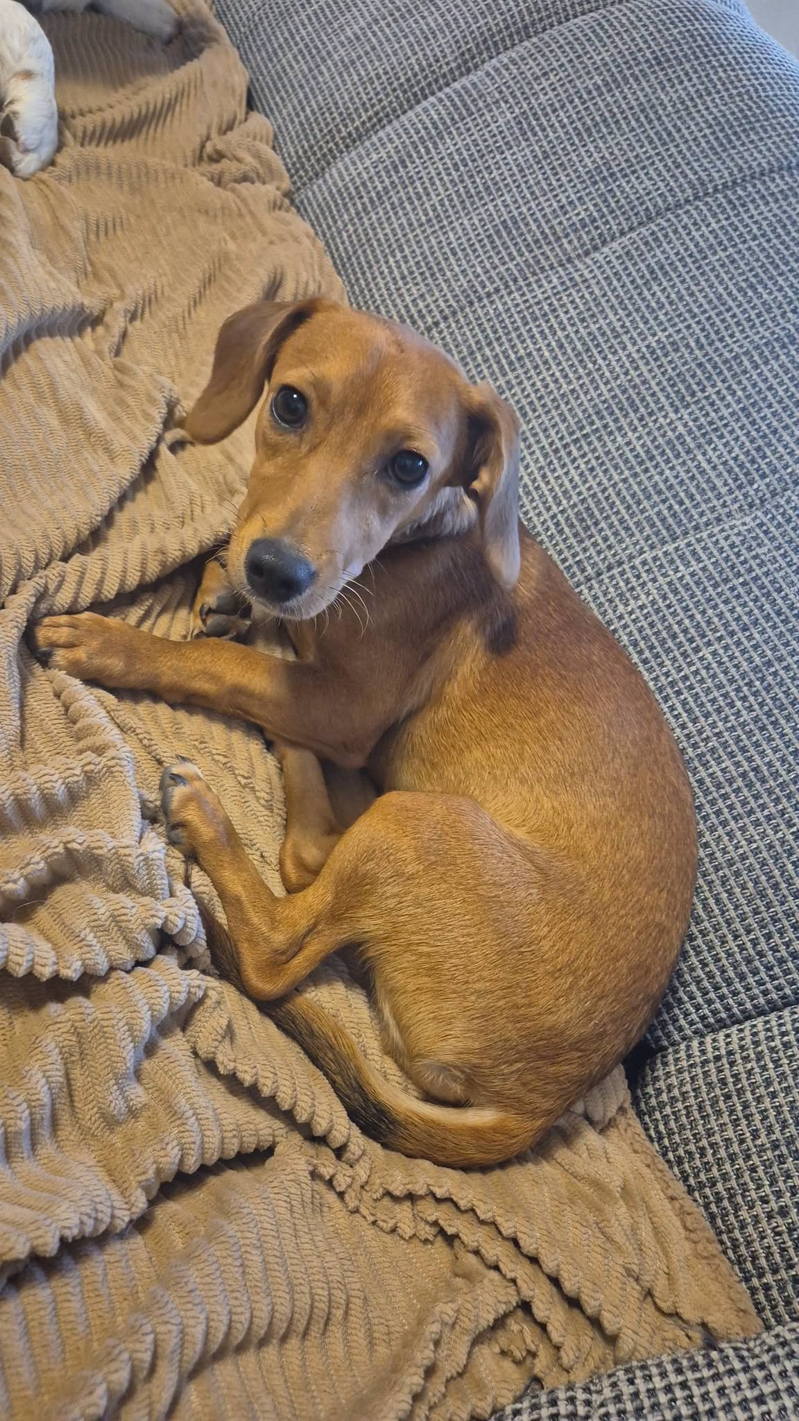 Beverly