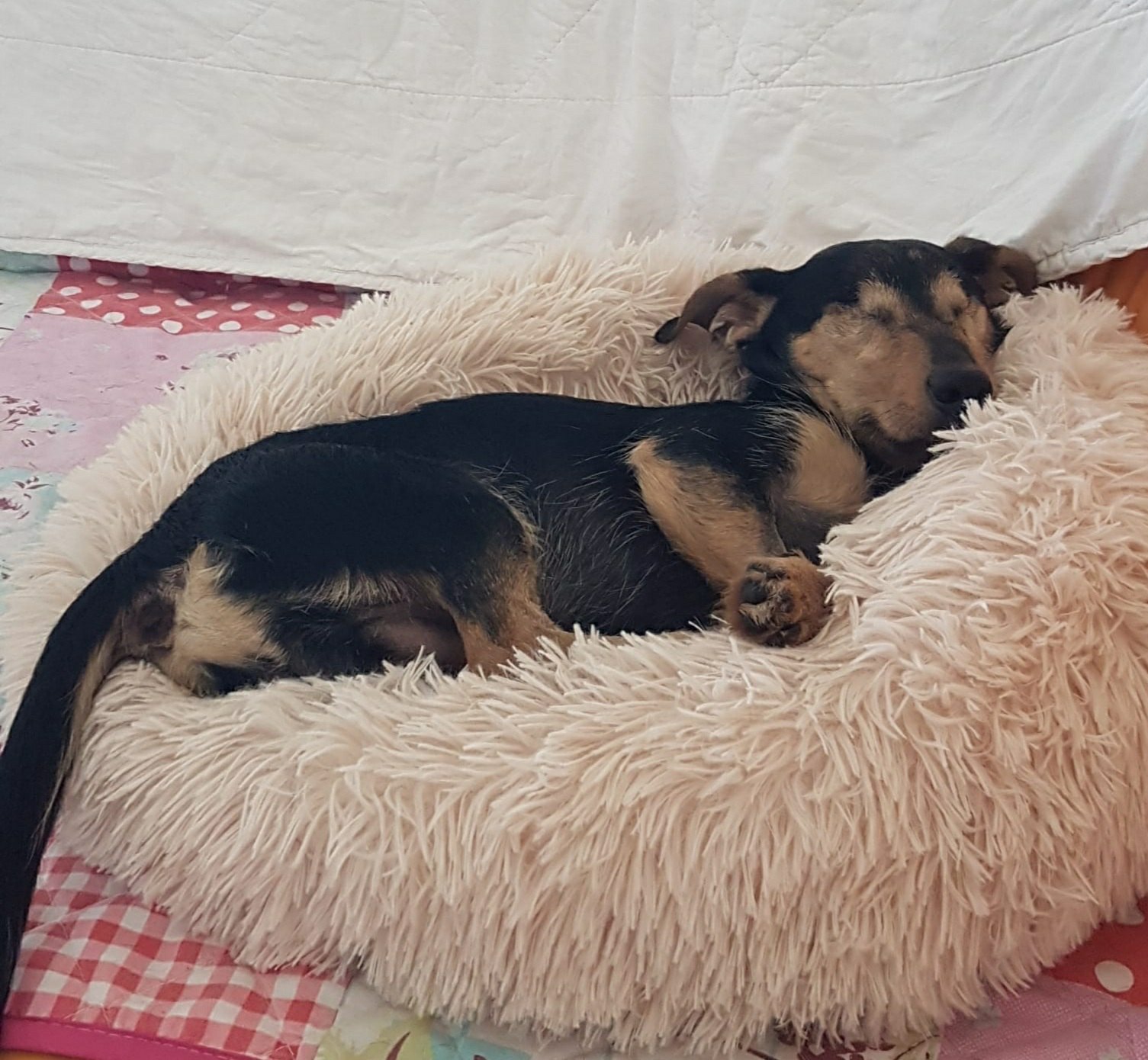 Prince